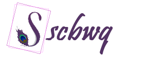 scbwq.com